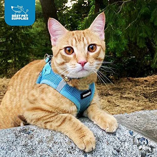 Best Pet Supplies Voyager color azul bebé para mayor visibilidad.