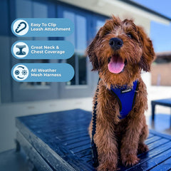 Best Pet Supplies Voyager Arnés de Entrada: bandas reflectivas para mayor visibilidad