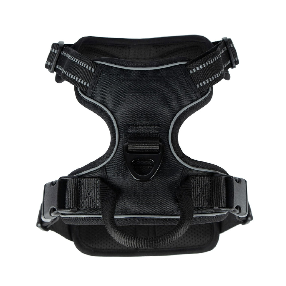 Best Pet Supplies Voyager arnés con correa doble, vista trasera, seguridad mejorada en paseos nocturnos