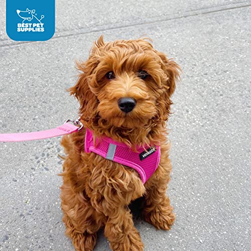 Best Pet Supplies Voyager arnés ligero para uso durante todo el año.