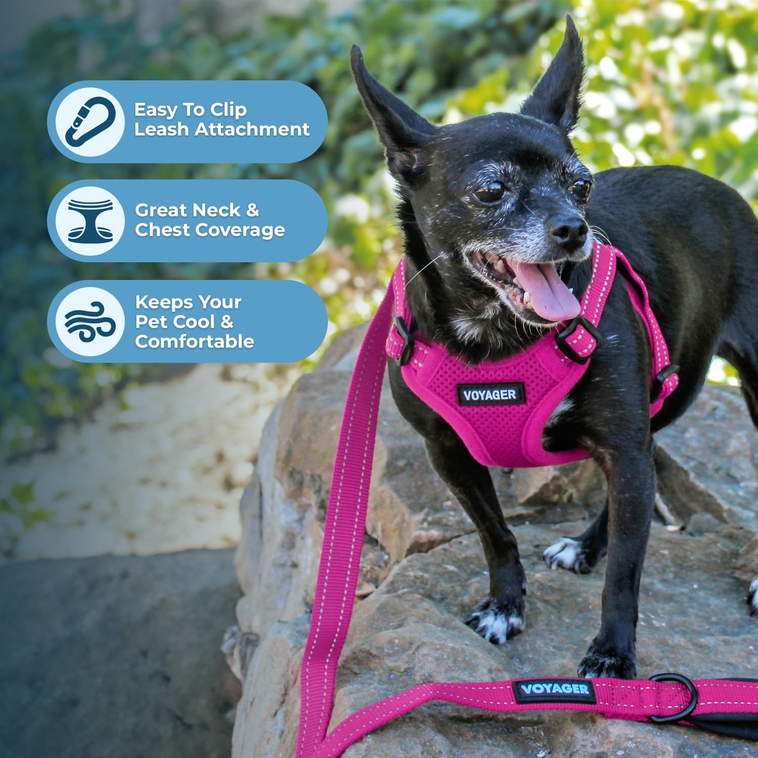 Best Pet Supplies Voyager arnés de malla transpirable para mantenerla fresca