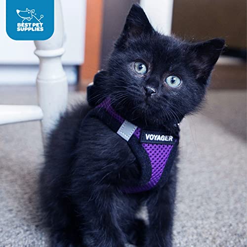 Best Pet Supplies Voyager arnés perro gato; versátil para perros y gatos pequeños.