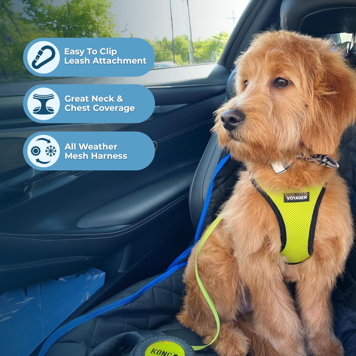 Best Pet Supplies Voyager cierre de velcro y bucle para seguridad