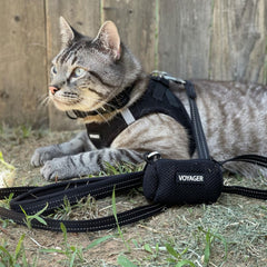 Best Pet Supplies Voyager collar reflectante con mango de neopreno para entrenar y pasear.