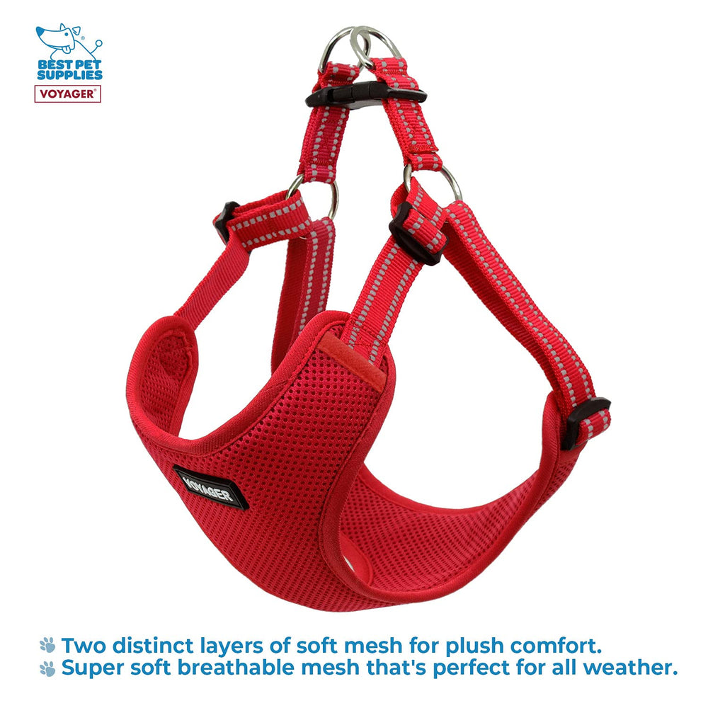 Best Pet Supplies Voyager correas reflectantes: mayor visibilidad en rutas nocturnas.