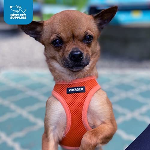Best Pet Supplies Voyager diseño naranja XXS para mascotas pequeñas