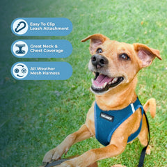 Best Pet Supplies Voyager arnés con bandas reflectantes dobles para visibilidad