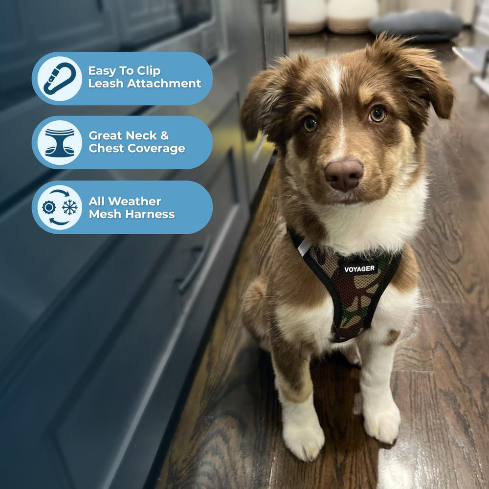 Fermeture Velcro triple sécurité sur le harnais Voyager Best Pet Supplies.