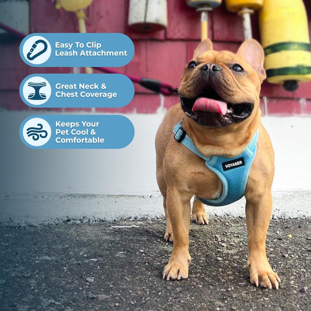 Best Pet Supplies Voyager guía de tallas imprimible para ajuste adecuado.