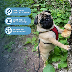 Harnais Voyager Best Pet Supplies vue arrière, mesh respirant et léger