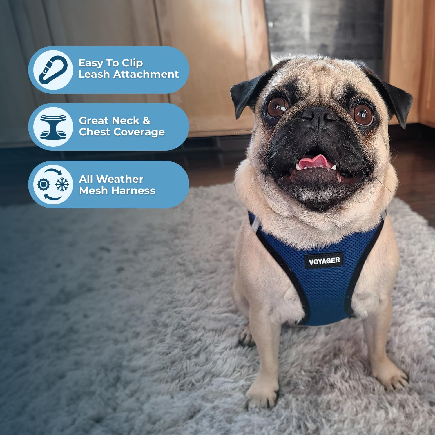 Best Pet Supplies Voyager Harnais – anneaux double-D renforçant la sécurité