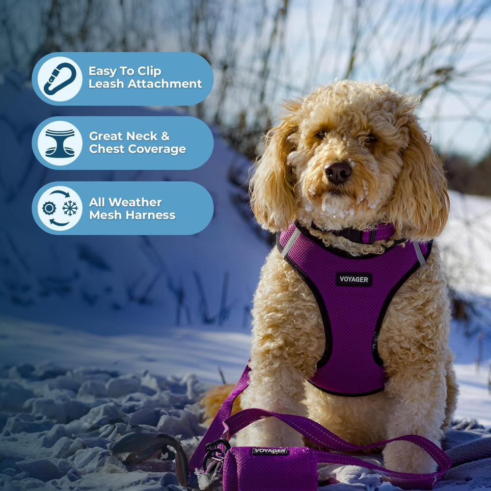 Voyager Harnais Best Pet Supplies, bandes réfléchissantes pour meilleure visibilité