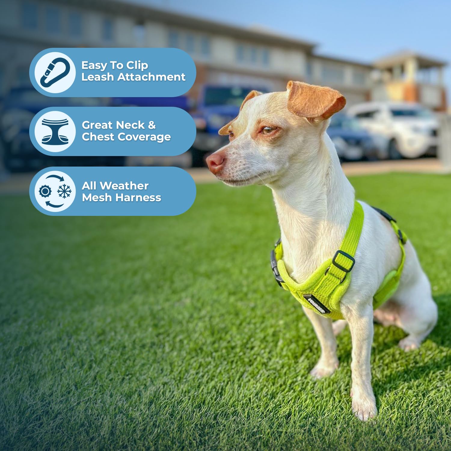 Harnais Voyager Best Pet Supplies bandes réfléchissantes, visibilité renforcée.