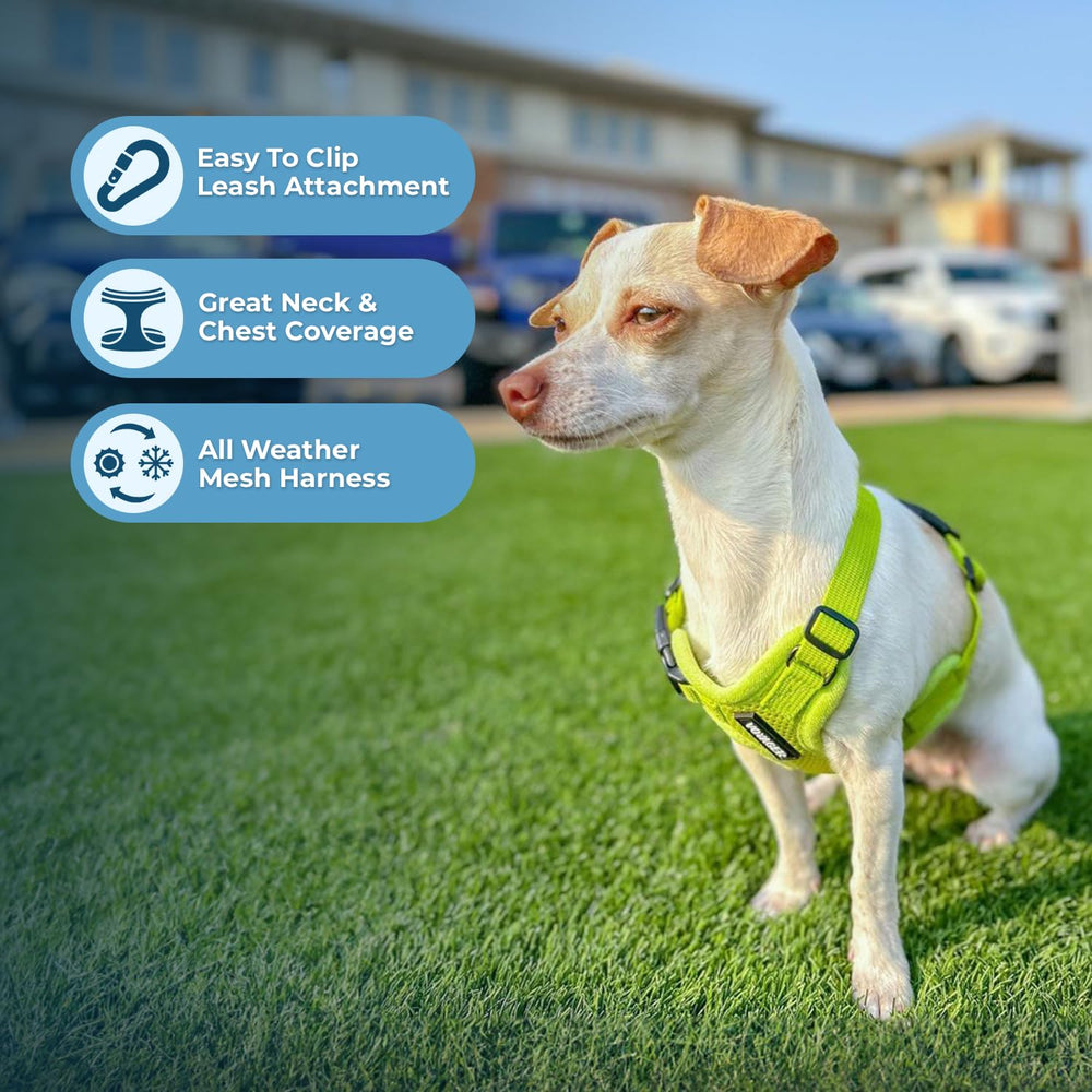Harnais Voyager Best Pet Supplies bandes réfléchissantes, visibilité renforcée.