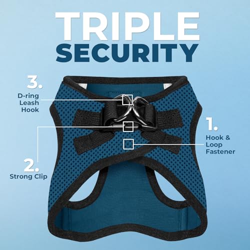 Best Pet Supplies Voyager Harnais – bandes réfléchissantes pour visibilité nocturne