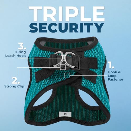 Best Pet Supplies Voyager harnais avec bandes réfléchissantes pour meilleure visibilité