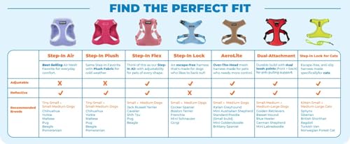 Harnais Voyager Best Pet Supplies idéal pour sorties urbaines et promenades nocturnes.