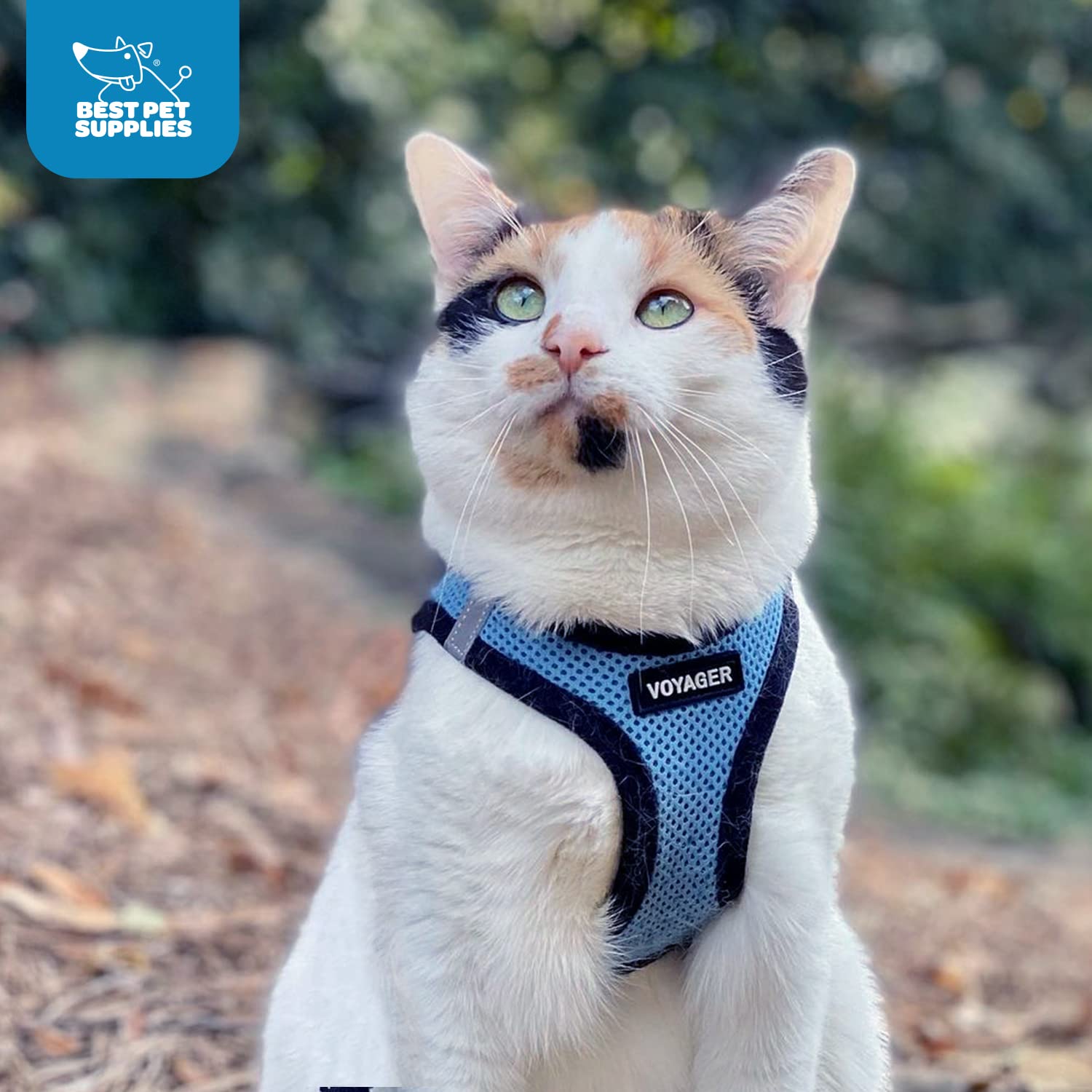 Best Pet Supplies Voyager harnais adapté chiens et chats en ville et nature