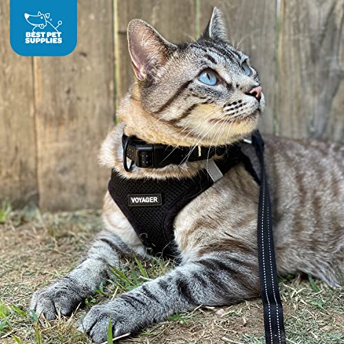 Best Pet Supplies Voyager harnais-xs: taille XS pour petites morphologies.