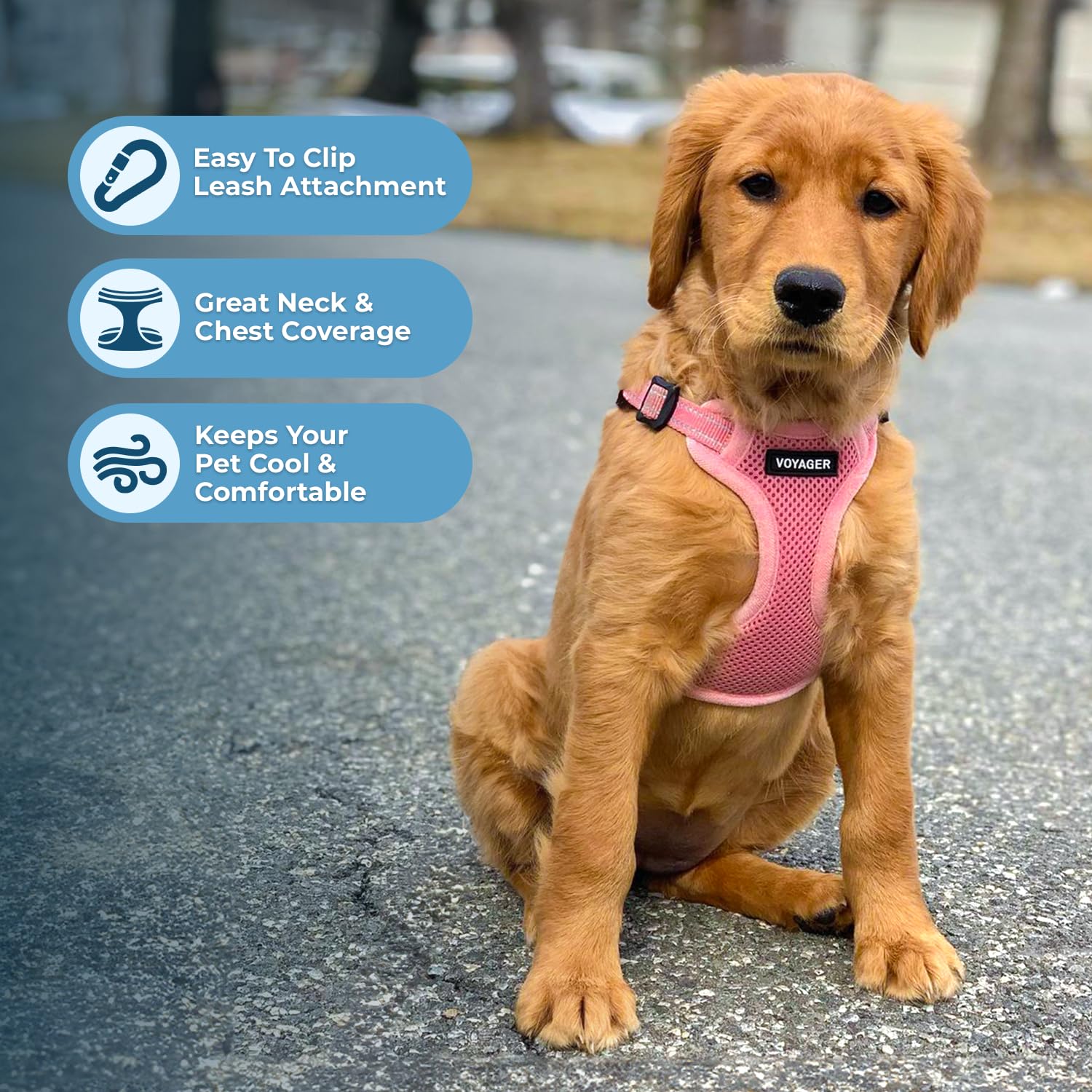 Best Pet Supplies Voyager arnés rosa paseos calmados para caminatas