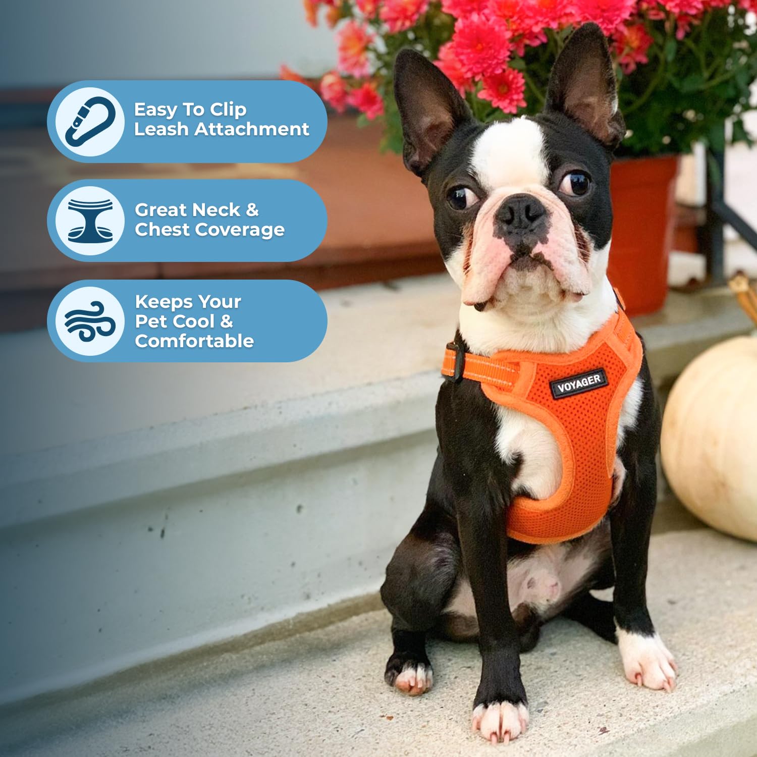 Best Pet Supplies Voyager reflectivo 3M naranja para mayor visibilidad