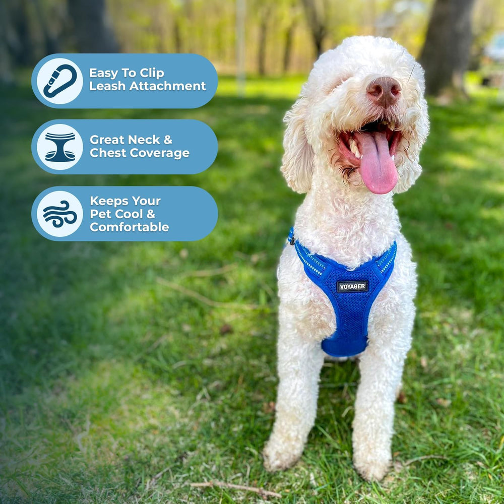 Best Pet Supplies Voyager reflectores 3M, mayor visibilidad en caminatas