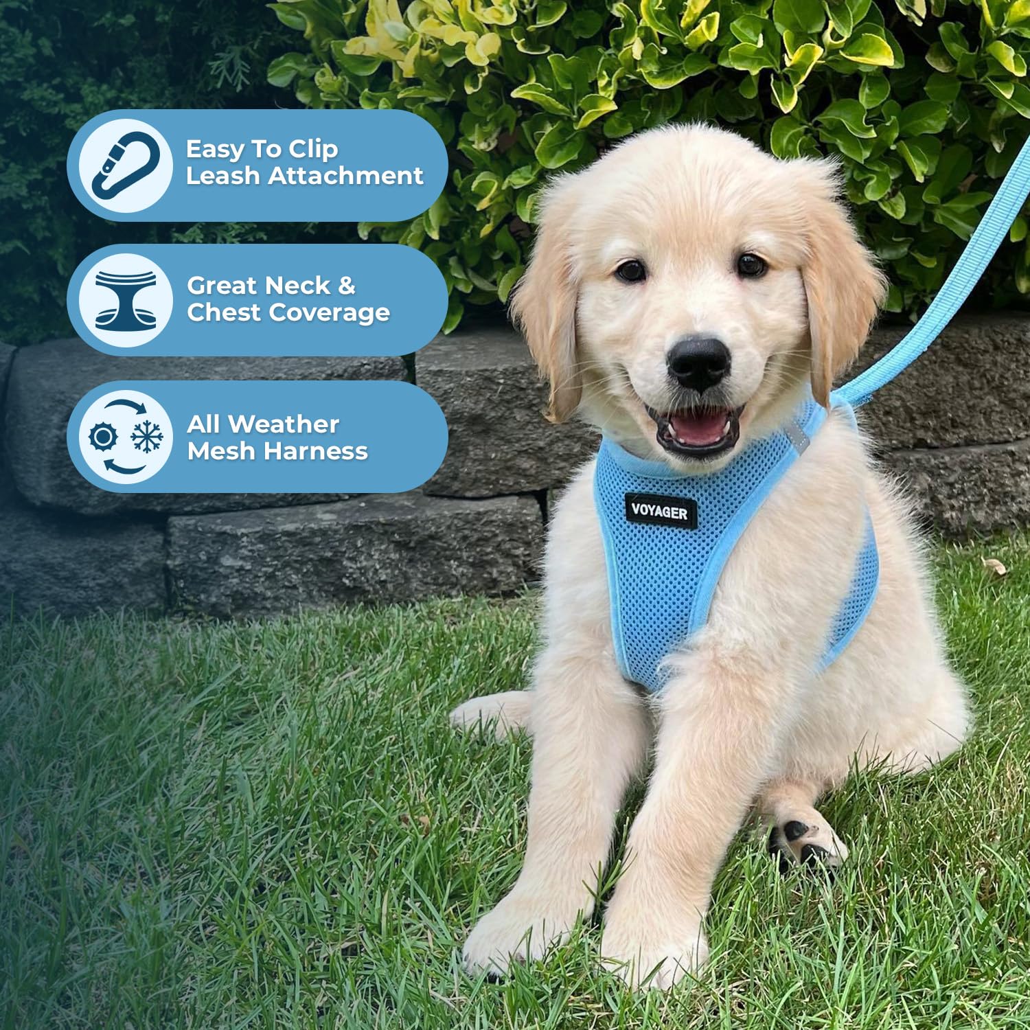 Best Pet Supplies Voyager set de tallas para mascotas pequeñas, medianas y grandes