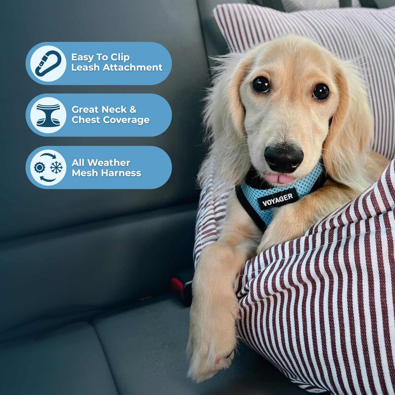 Best Pet Supplies Voyager Step-in Air, bandes reflechissantes, meilleure visibilite nocturne.