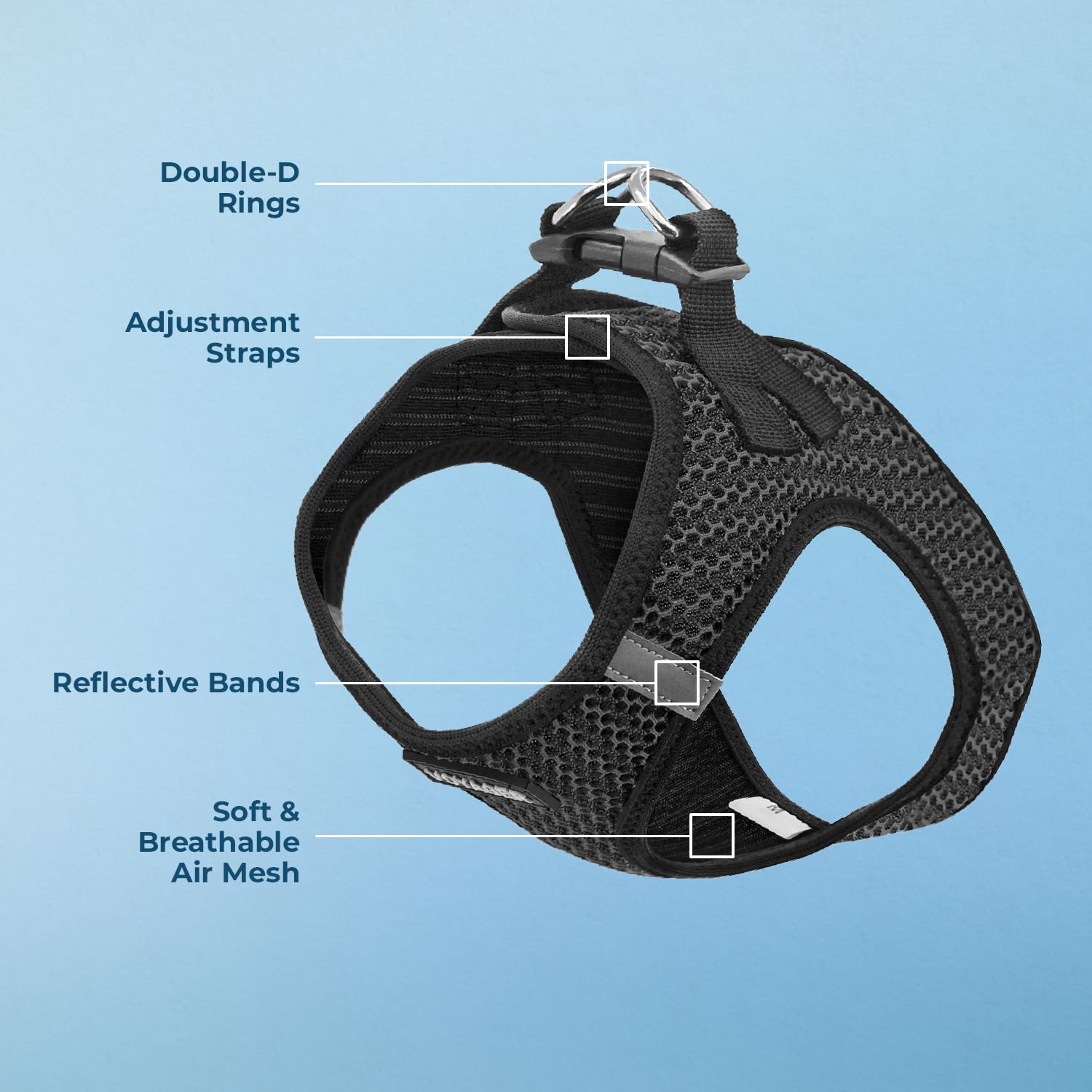D-rings doubles pour un contrôle fiable pendant les sorties.