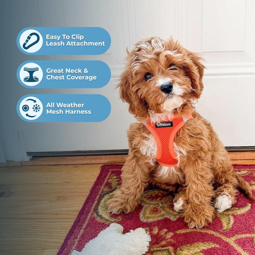 Best Pet Supplies Voyager Step-in Air Harness con bandas reflectantes para mayor visibilidad