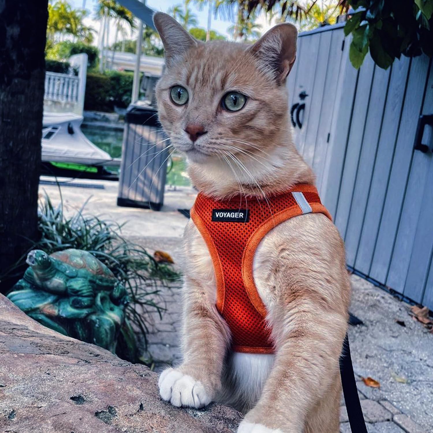 Best Pet Supplies Voyager Step-in Air Harness diseño ligero y cómodo.
