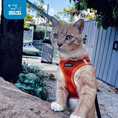 Best Pet Supplies Voyager Step-in Air Harness seguridad triple para más tranquilidad.