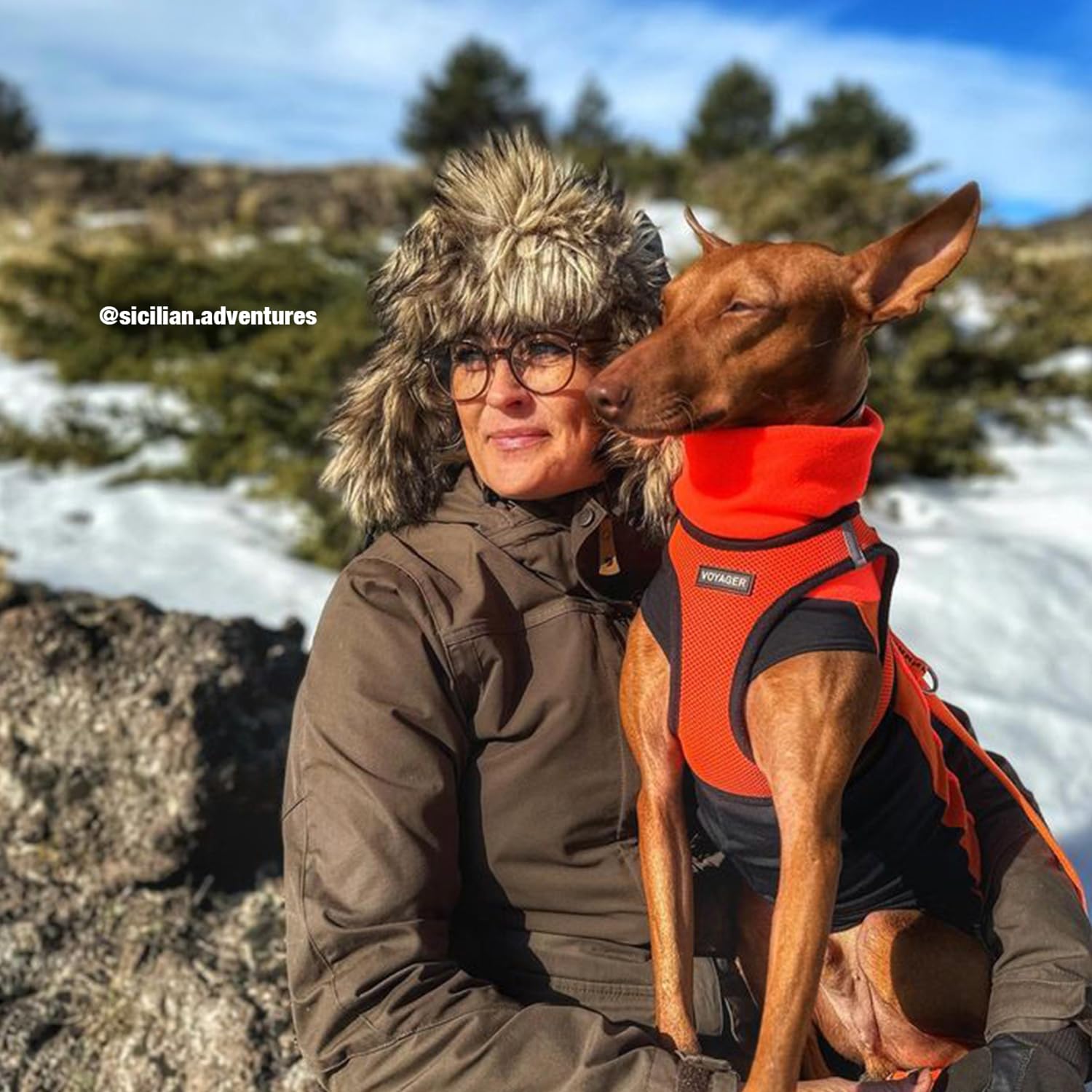 Best Pet Supplies Voyager Step-in Air Harness ligero y transpirable para uso durante todo el año.