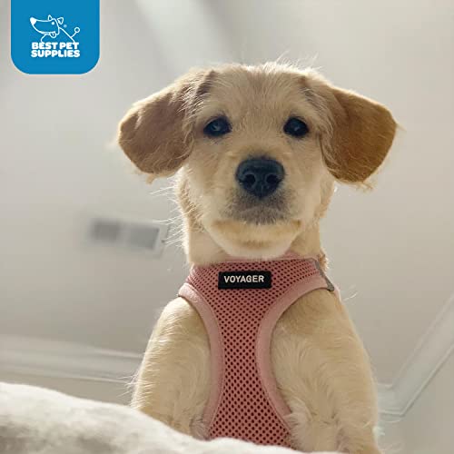Best Pet Supplies Voyager Step-in Air Harness ligero para paseos urbanos.
