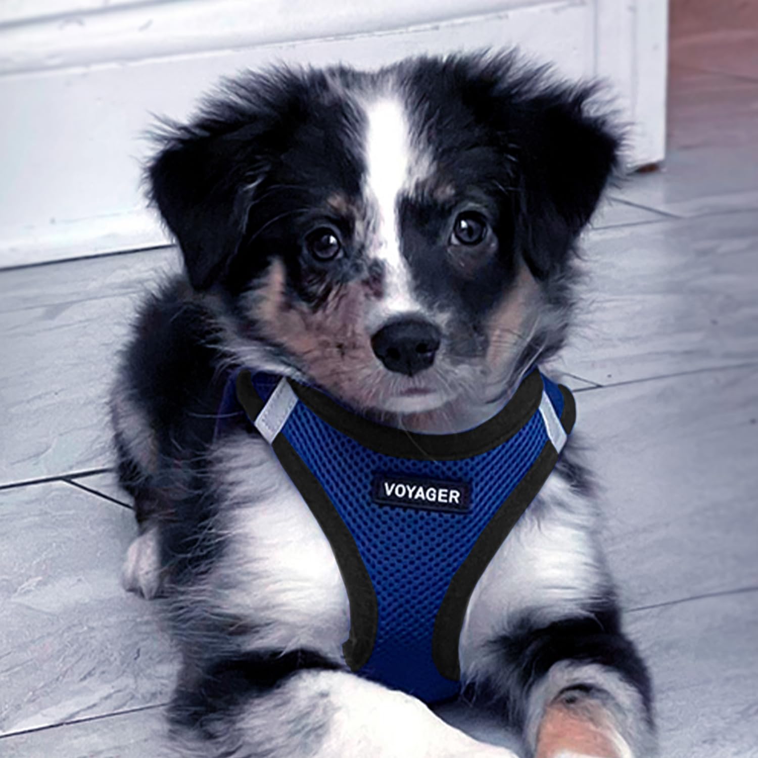 Best Pet Supplies Voyager malla ligera, ideal para uso diario
