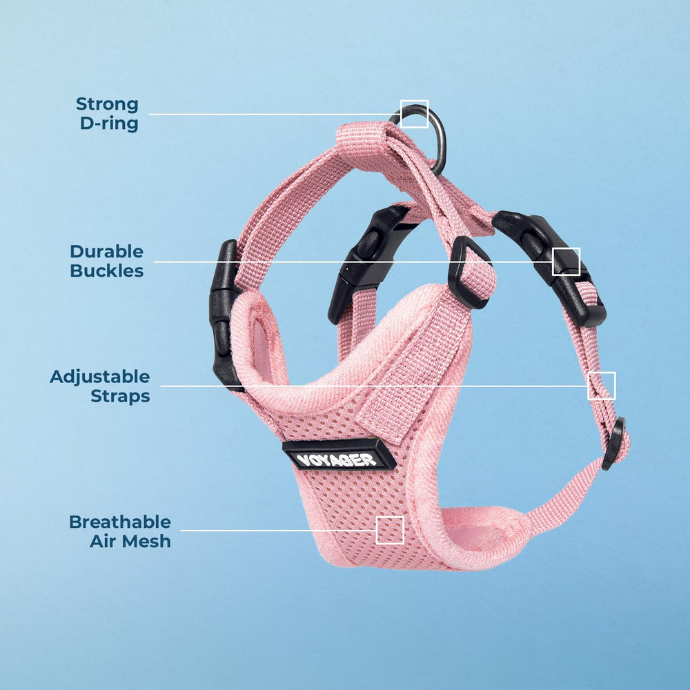 Arnés Voyager de Best Pet Supplies, ajuste total, talla adecuada para mascotas pequeñas y medianas