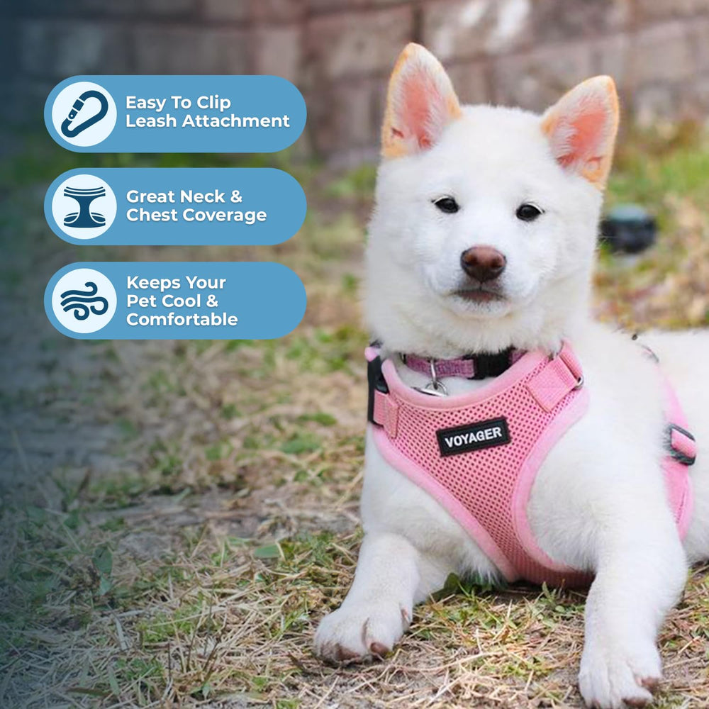 Arnés Voyager de Best Pet Supplies, malla de aire, transpirabilidad all weather