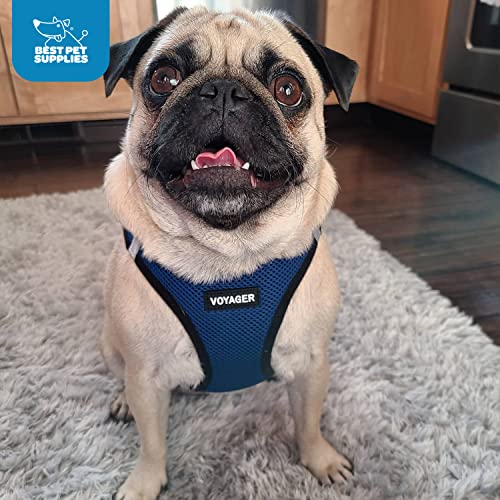 Best Pet Supplies Voyager diseño azul royal con ribete negro para estilo y seguridad