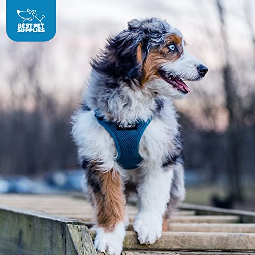 Best Pet Supplies Voyager visibilidad mejorada para paseos