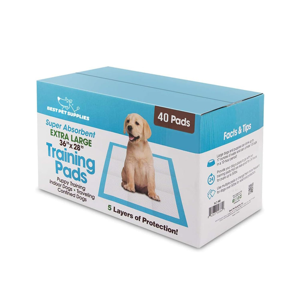 Best Pet Supplies XL tapete cachorros entrenamiento, absorción para entrenar en casa.