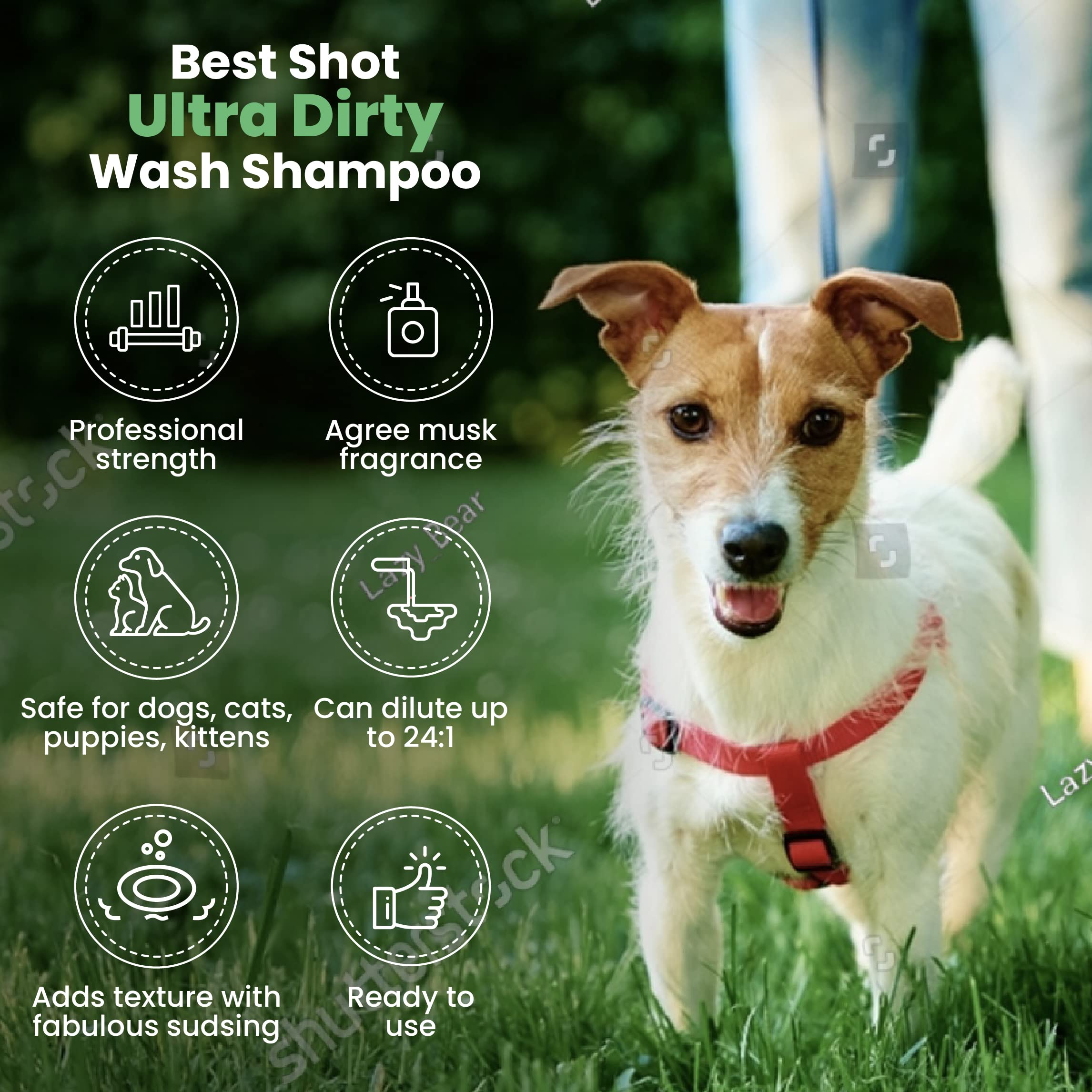 Best Shot Champú Mascotas Aplicación Rápida reduce tiempo de lavado.