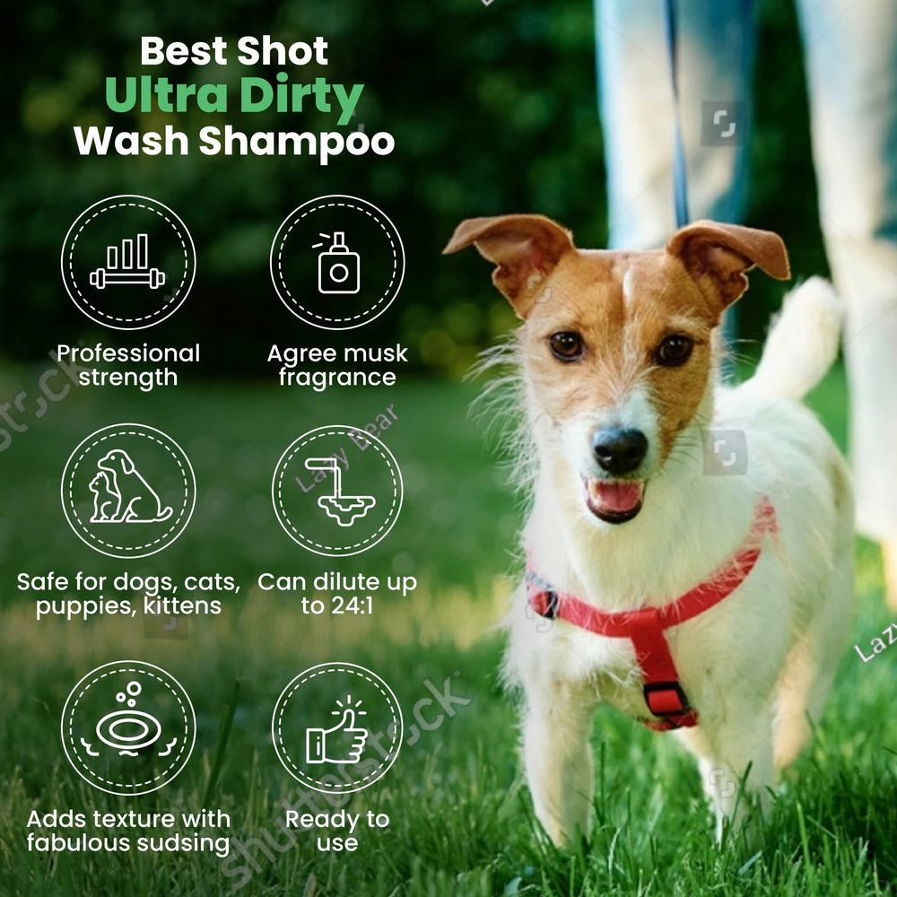 Best Shot Champú Mascotas Aplicación Rápida reduce tiempo de lavado.