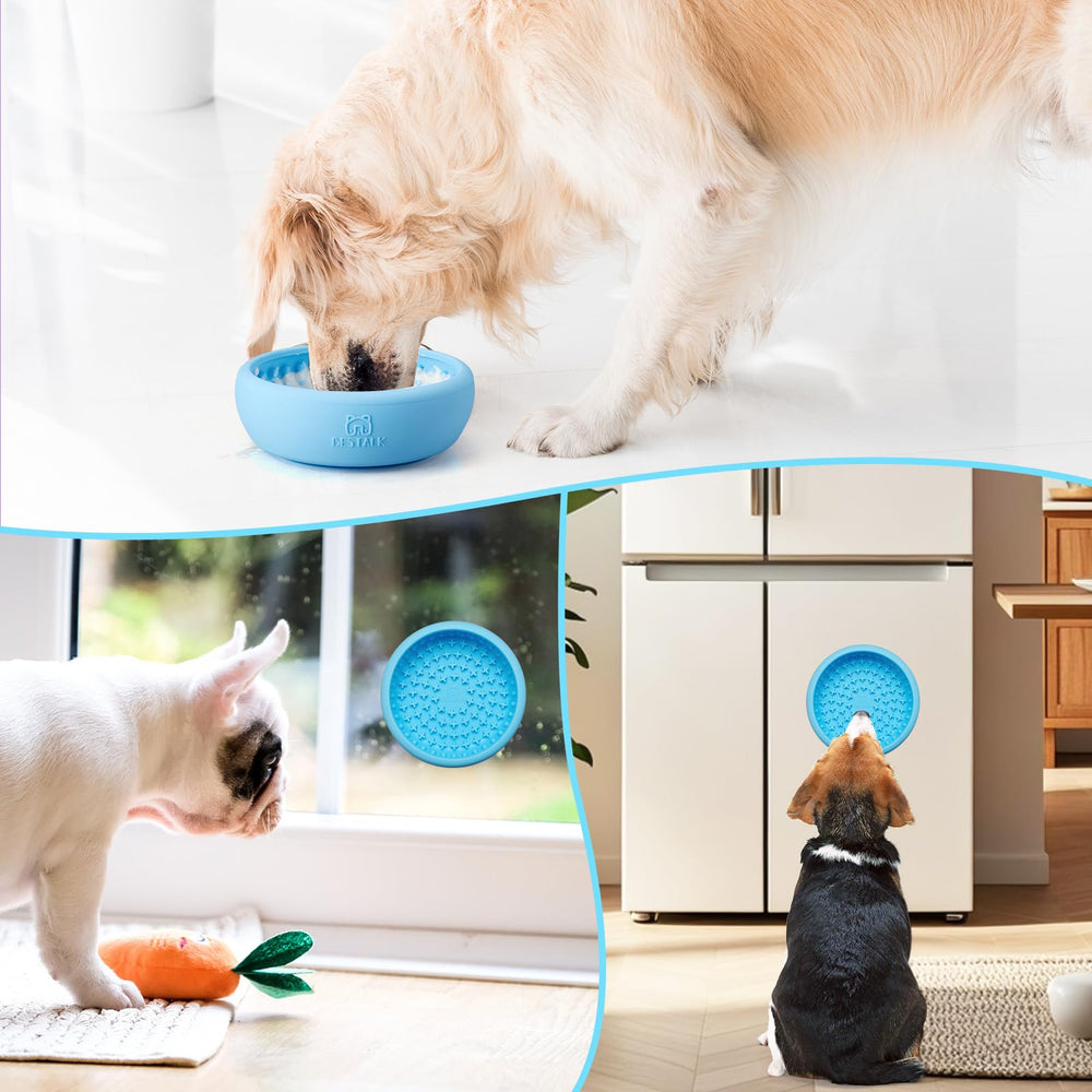 Bestalk experiencia de juego interactivo para mantener al perro calmado y distraído