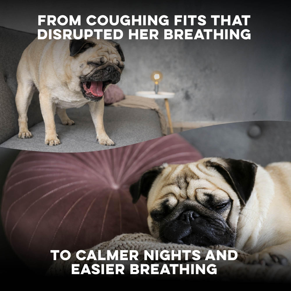 BestLife4Pets Breathe Easy: disolver en agua para microdosificación.