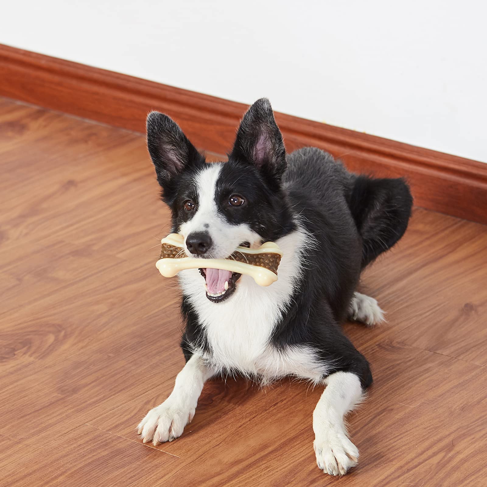 BETTEPROD juguete para cachorros sabor carne ofrece satisfaccion sensorial y tiempo de juego.