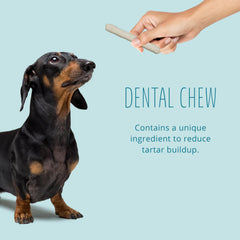 Better Belly: sin colorantes ni sabores artificiales para perros