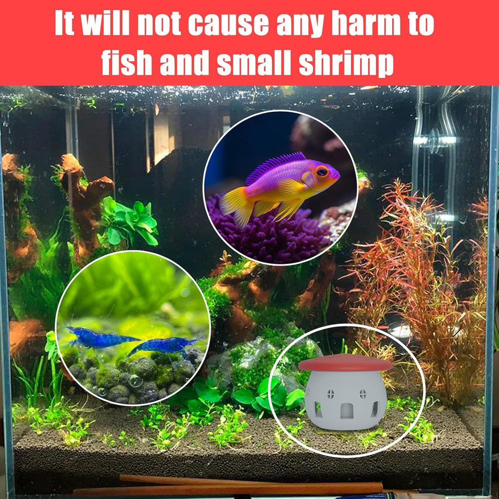 BFBFJJ uso sencillo en acuario para capturar caracoles pequeños.