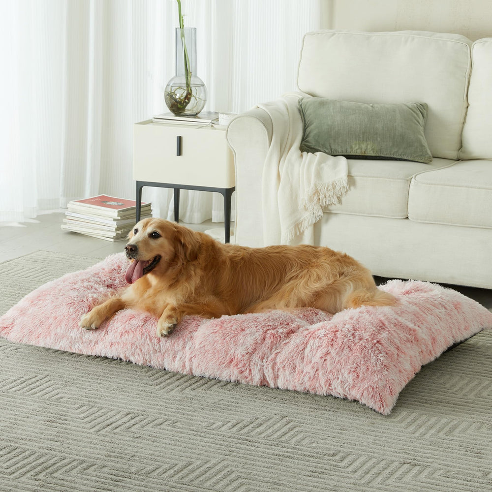 BFPETHOME diseño ergonómico, soporte cómodo para perros grandes