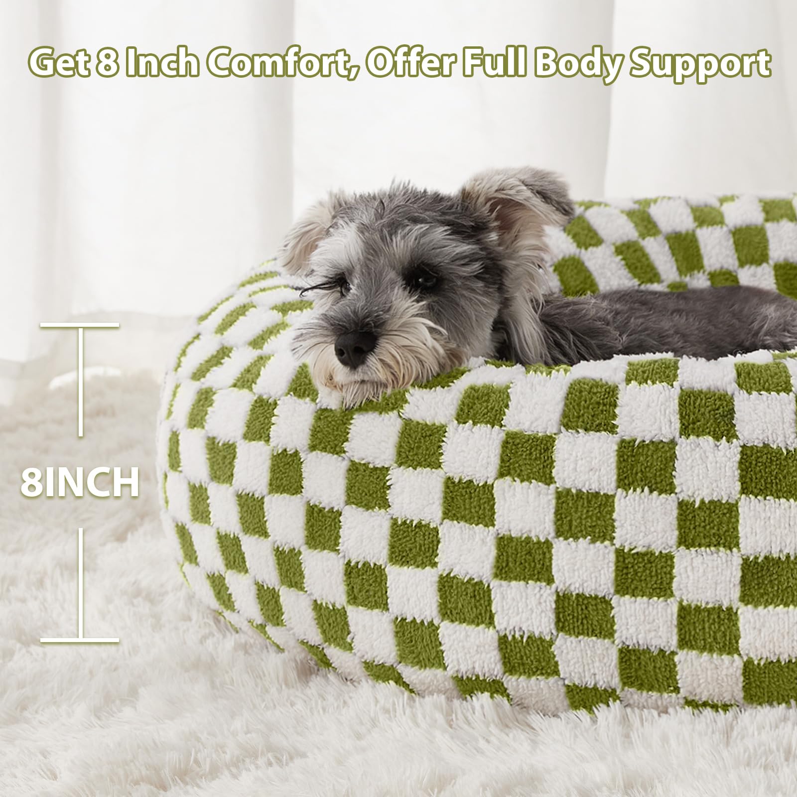 Cama BFPETHOME en salón, estilo moderno para mascotas pequeñas