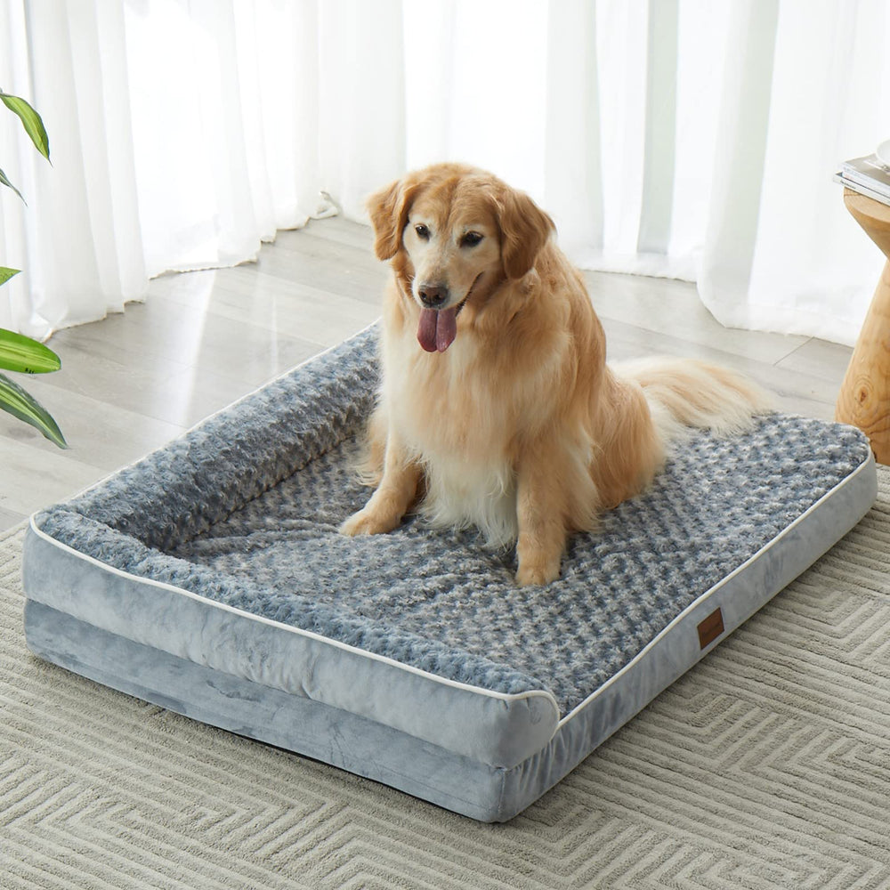 Diseño ergonómico de BFPETHOME para mayor confort del perro
